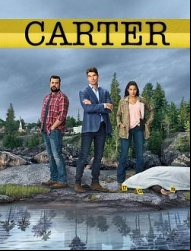 Carter saison 2