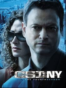 Les Experts : Manhattan saison 4