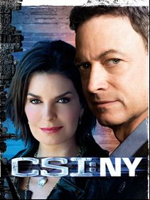 Les Experts : Manhattan saison 7